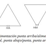 DELTA LOOP DE ONDA COMPLETA