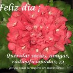 Feliz día!