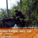 CONVERSATORIO VIRTUAL NRO. 100, MIÉRCOLES 01 de JUNIO DE 2022, 19:00 HORAS (CE)